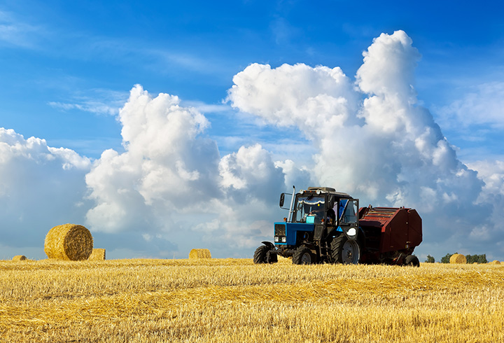 作物生產技術專業教學資源庫
